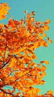 descargar wallpaper de Naturaleza